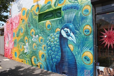 Rainbow Peacock by Julia Both, Bharat Traders, 580 Barkly St West Footscray, StreetWORKS 2017