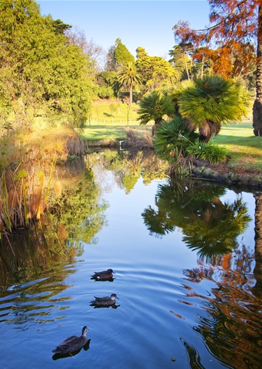 Footscray Park