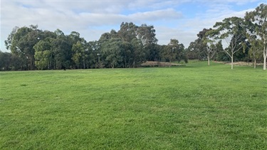 Open Space at Thompson Reserve