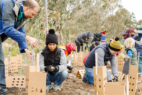 Community tree planting