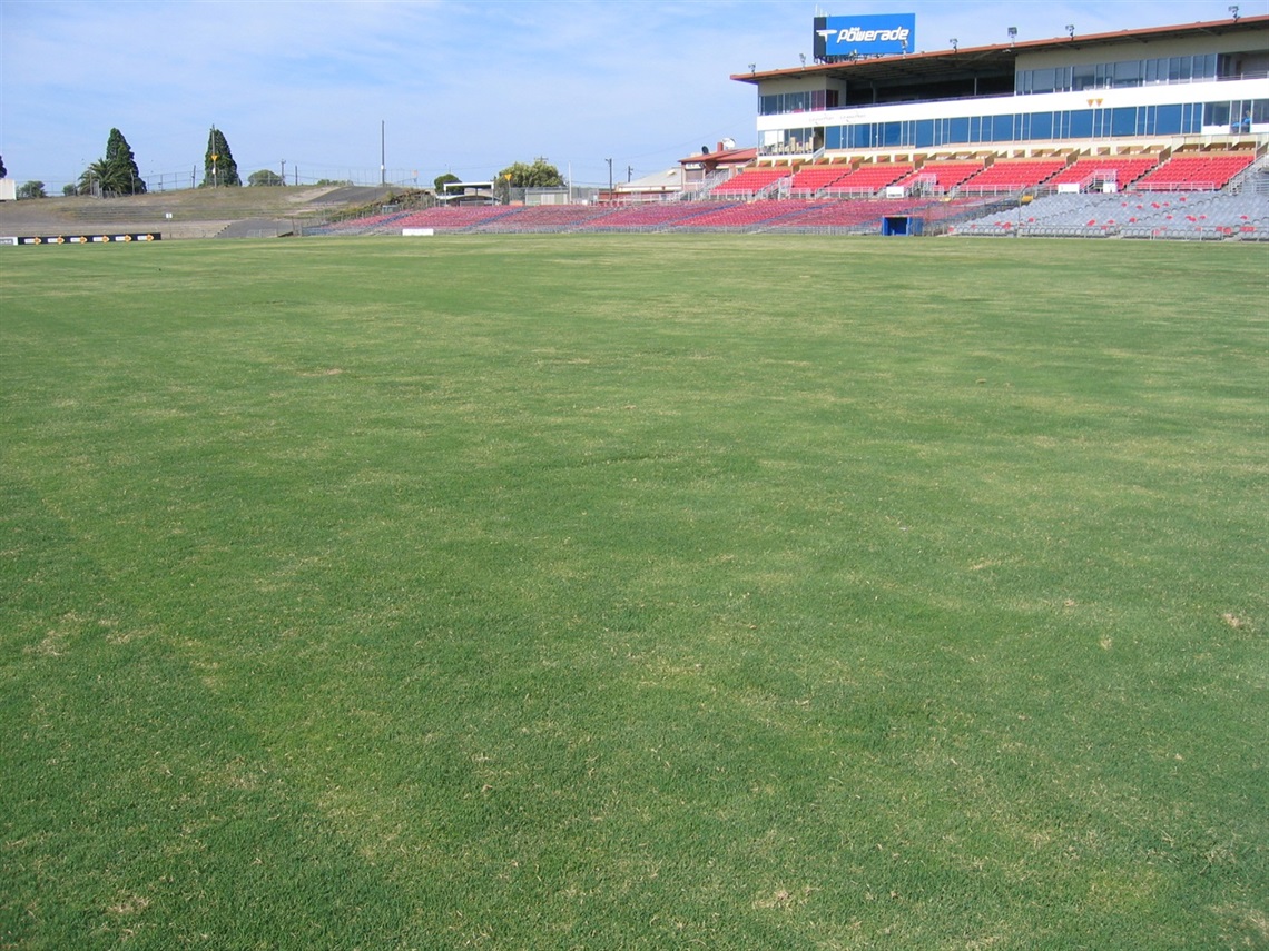 Whitten Oval