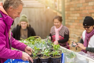 Growing for Community project at Westgate Baptist Church. This project was supported through the Maribyrnong City Council Community Grants Program 2021-2022.